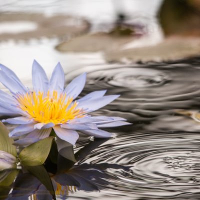 自分の写真を掲載したり、写真好きな方の作品を見る為の写真用アカウントです。季節の風景、ポートレートが好み。