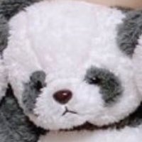 417 (@4mxox) 's Twitter Profile