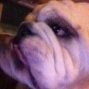 Lenora Perkins - @dstymax - Twitter