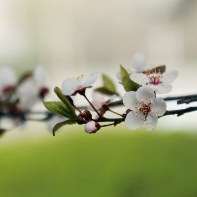 laonanren13's profile picture. follow me💯💯💯follow back
热爱中国画，绘画。