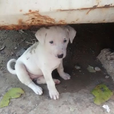 AjayDataworld's profile picture. 