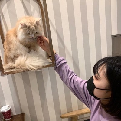 R___ion_t's profile picture. むさび視デ卒 / 制作用 @neren___koi /最近はthreadsにいます