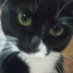 ใตใผใโฆ๐ฆ (@ponponmamm) Twitter profile photo ใตใผใโฆ๐ฆ (@ponponmamm) Twitter profile photo