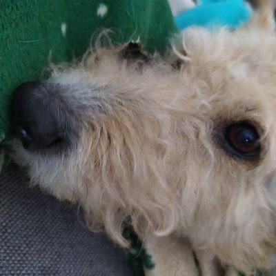 0Kaczmar9's profile picture. 