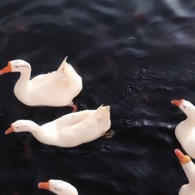 Aizu7788's profile picture. 性别男，爱好女