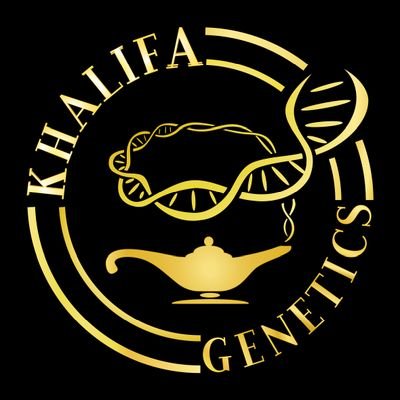 KhalifaGenetics Profile Picture