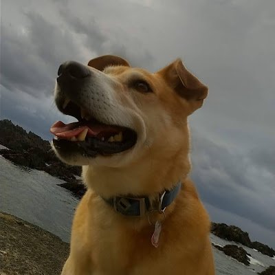 vyAzQ8QmS6GoeWa's profile picture. 