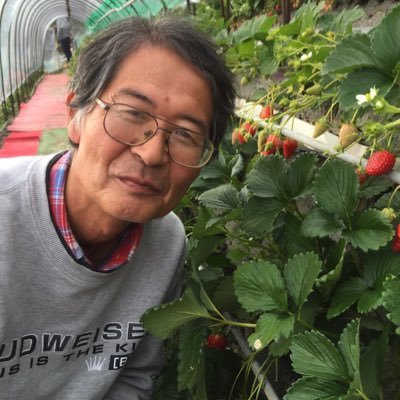kawa_h1955's profile picture. 静岡市の南、久能山の麓で石垣イチゴを作っています。 2016年に定年後就農しました。 石垣いちごは明治時代から続く伝統農法で太陽光で温められた石垣により真冬でも無加温でいちごが栽培できます。野菜もいろいろ作ってます。ボウリング5年🎳古いジュビロサポーター⚽️