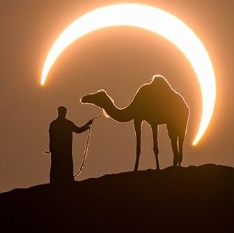 Shariekan's profile picture. Lorem Ipsum
TIET'28