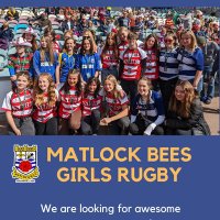 Matlock Bees(@MatlockBees) 's Twitter Profile Photo
