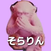 そらりん☁️(🐈しめじとツインテールのわーちゃん) (@sorarinsan) 's Twitter Profile