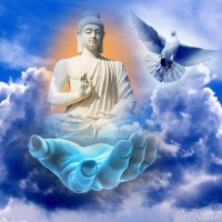 ꧁AirDrop꧂base.eth (@le290788) 's Twitter Profile Photo ꧁AirDrop꧂base.eth (@le290788) 's Twitter Profile Photo