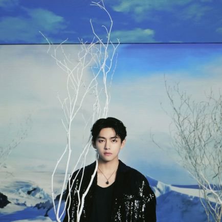 김태형
🇲🇨🇰🇷
BTS