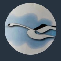 Swan Team(@SwanTeamLUH) 's Twitter Profile Photo