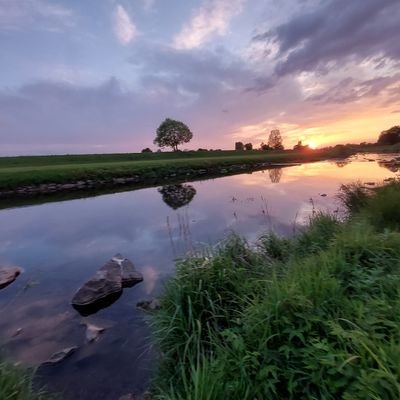 AbapDev's profile picture. Father, ABAP Developer, IS Retail, Linux Fan, BaWü, Basel