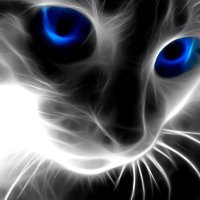 Astrum (@astrumcs) 's Twitter Profile