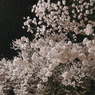 superkyotoman's profile picture. 東大に行け https://t.co/8SRm2GkFS6