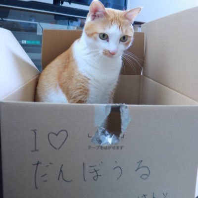 kotone_BA_love_'s profile picture. ☆大国男児/SHINEE/B1A4/2NE1/BTS/EXO☆ セならG♪パならBs♪東京女子/STARDOM/NOAH/全日本☆押しは中嶋勝彦選手/潮崎豪選手/宮原健斗選手/ 林下詩美選手/桐生真弥選手/山下実優選手☆