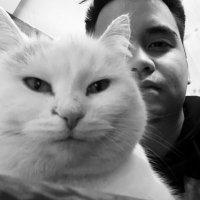 j.m. makalintal (@joshmaks) 's Twitter Profile