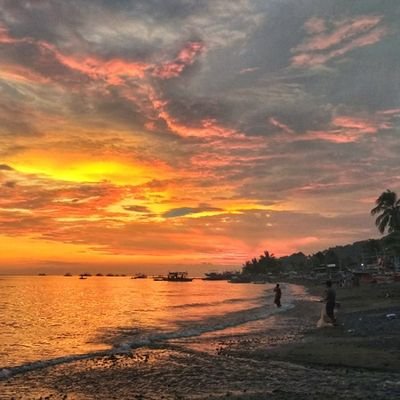 seasonsoffate's profile picture. here for the music 🌷 
tumitindig pa rin 🌸
  💙winner💙maxie andreison💙