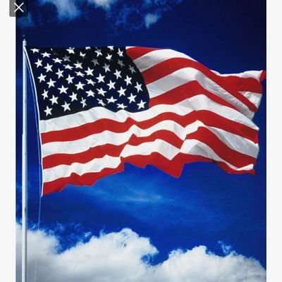 wildhart25's profile picture. Proud grandma of 4.. Trump supporter.. I love America 🇺🇸