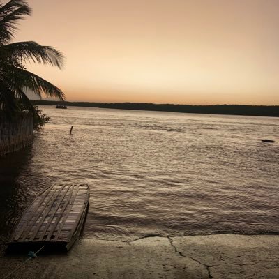 arthurkenzosato's profile picture. 