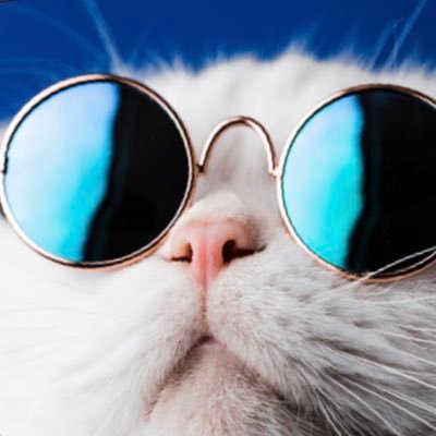 Hi guys I am just going to be here