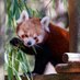 Pandarou (@pandaroux_corb) Twitter profile photo Pandarou (@pandaroux_corb) Twitter profile photo