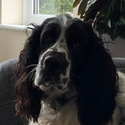 woody_woodrough's profile picture. 