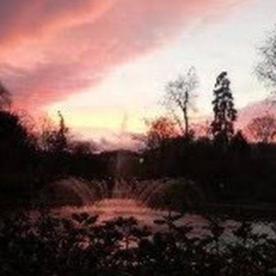 landolsi_amine's profile picture. Drupal Dev