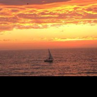 joseph (@joehoo74) 's Twitter Profile