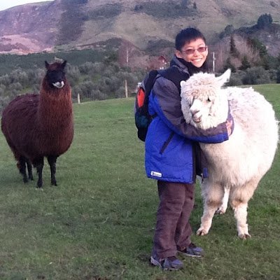 Hugo88516's profile picture. 