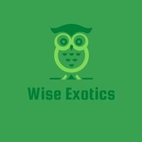 Wise Exotics(@WiseExotics) 's Twitter Profile Photo