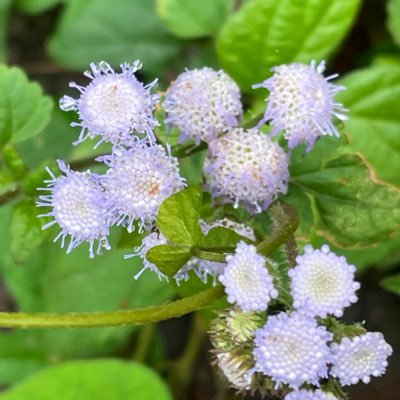 YusufAhamed95's profile picture. Just explore