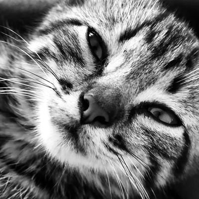 DenishRACKARA1's profile picture. Mathematician and Educator