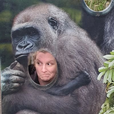 strugglebusridr's profile picture. Na, Twitter. G'bye.