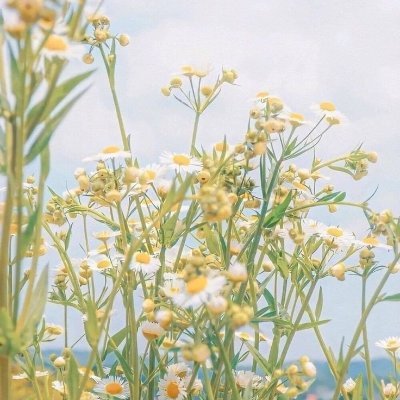 thom818ara's profile picture. thomara forevs 💚 #TeamDelusional