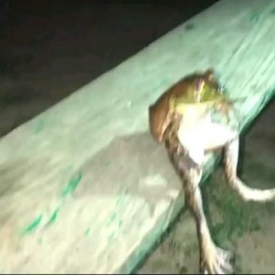 h8h8hi's profile picture. 