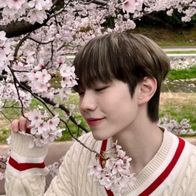 #WONJUN любим любить лучших мальчиков эласт ;; semantic error, not me, kinnporsh // skz, e’last, tbz, svt, enh | istp ♏️