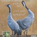 North-East Scotland Bird Report (@nesbirdreport) Twitter profile photo North-East Scotland Bird Report (@nesbirdreport) Twitter profile photo