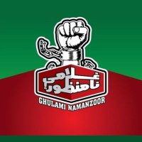 well wisher (@bushrashamim12) 's Twitter Profile