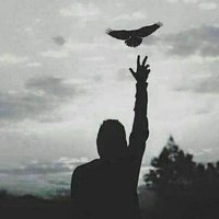 ابوعلي (@b4f686866aee478) 's Twitter Profile