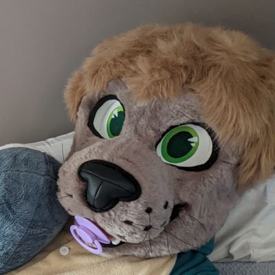 AB/DL/Little account for a certain gray ott!  18+ only!  Mostly DL with AB influences.

Born May 1989.

Non-ABDL account: @feztitheotter