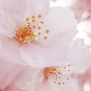 Kate Denny - @katdencool - Twitter