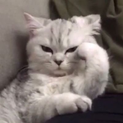 vivi__________i's profile picture. jangan ikuti ak. ak jg tersesat. . .