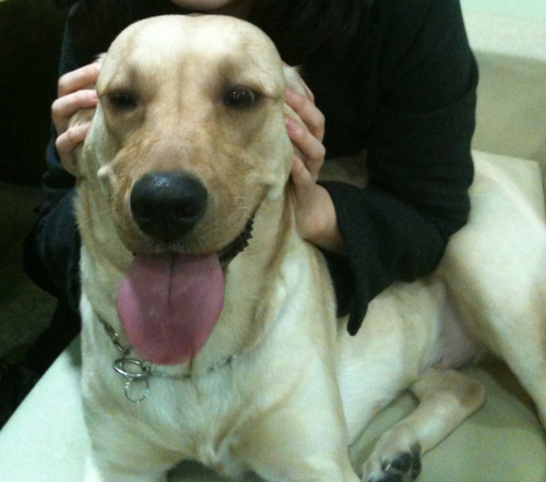 delispam's profile picture. 먹는거 좋아하고 놀기 좋아하고 쉬는거 좋아하고 애견좋아하고 빈둥거리는거 좋아하지만 그래도 일할땐 열심히 하는 대한민국의 평범한 시민!