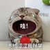 瑟瑟的猫 (@wawayep) Twitter profile photo