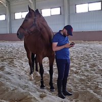 Ayhan (@alphan3334) Twitter profile photo