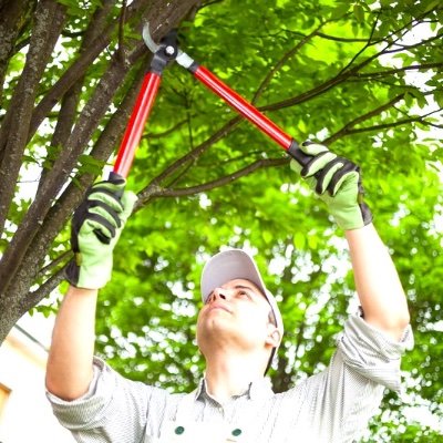 Stang Tree Service
966 County Road I
Oshkosh, WI 54902
920-203-7115
We're the tree service Oshkosh, Omro, Ripon and Fond du Lac residents depend on!