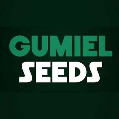 Somos una empresa dedicada a la comercialización de semillas fiscalizadas de soya.
